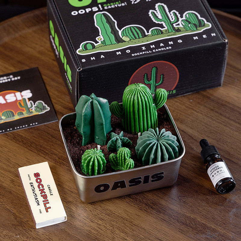 Cactus Gift Series: Desert Master Essential Oil Candle Gift Box aoaotoy