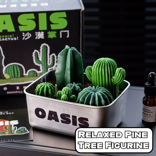 Cactus Gift Series: Desert Master Essential Oil Candle Gift Box