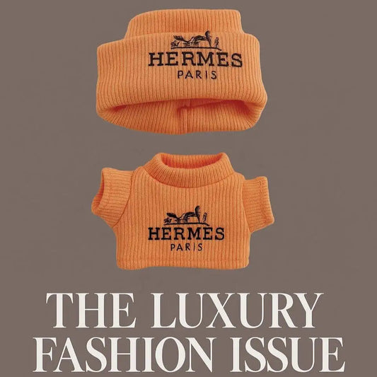 💰 $11.5 GET 2-PIECE LABUBU DOLL OUTFIT 🌟 Classic H-Style Minimalist Luxury Look